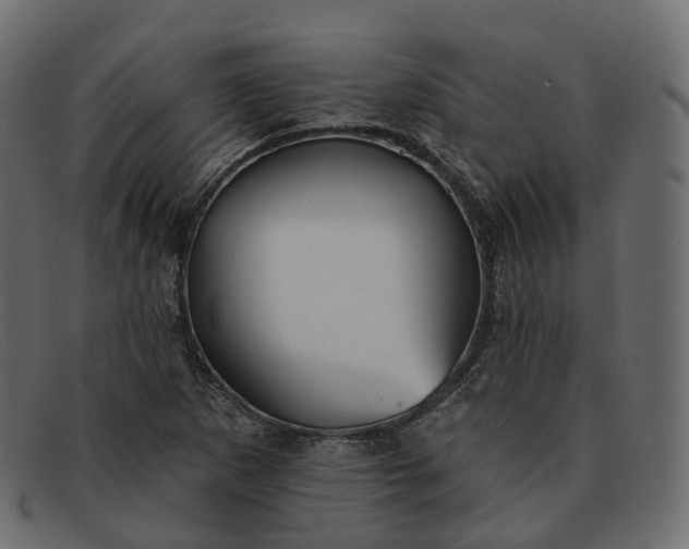 X0000091891265200709191210