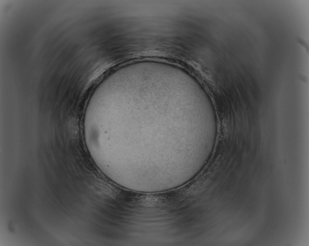 X0000091891266200709191210