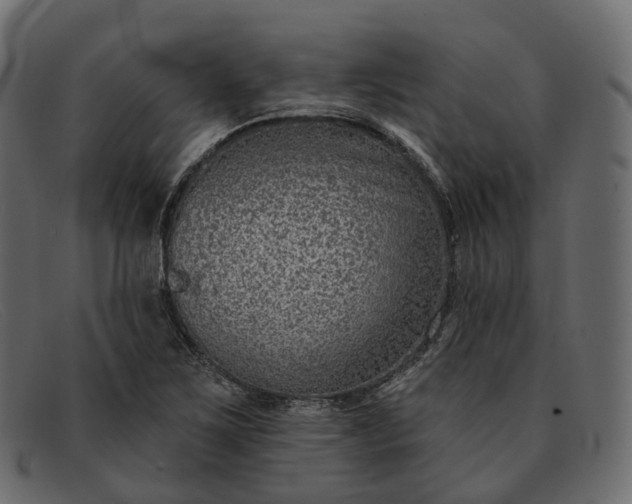 X0000091891267200709191210