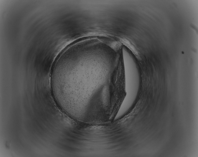 X0000091891268200709191210