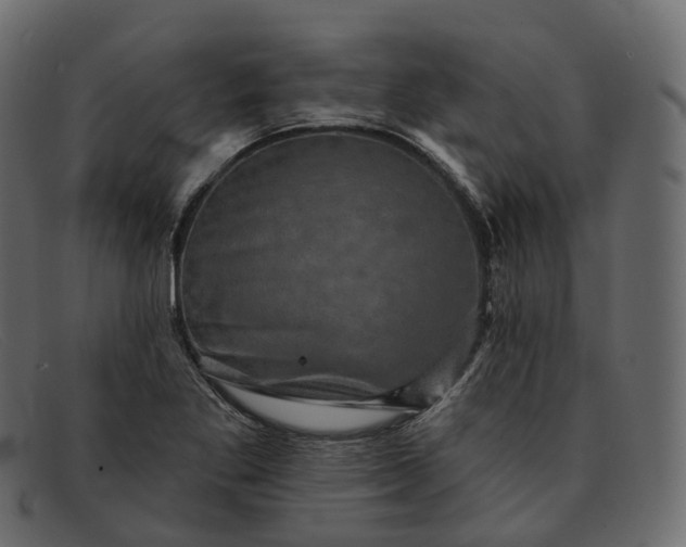 X0000091891269200709191210
