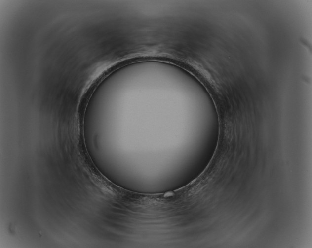 X0000091891270200709191210