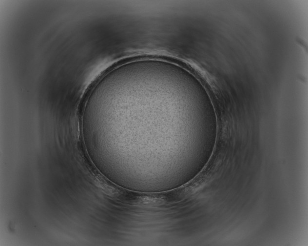 X0000091891271200709191210