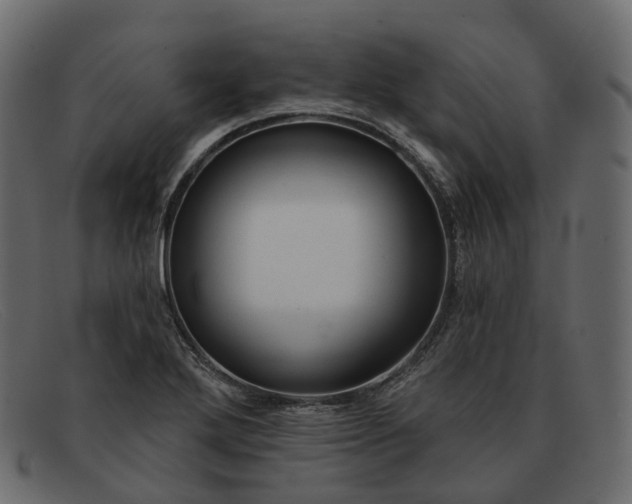 X0000091891272200709191210
