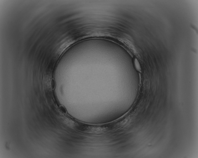 X0000091891273200709191210