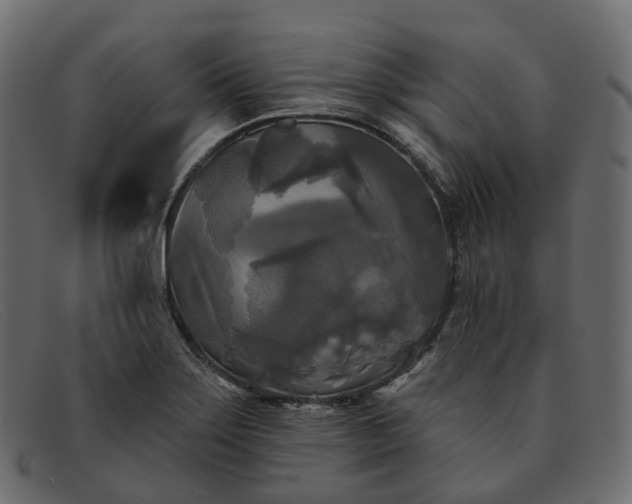 X0000091891275200709191210