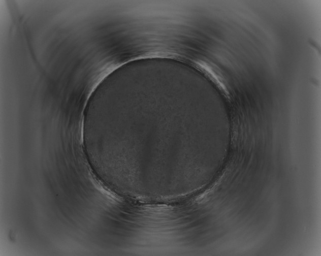 X0000091891276200709191210