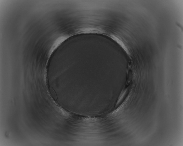 X0000091891277200709191210