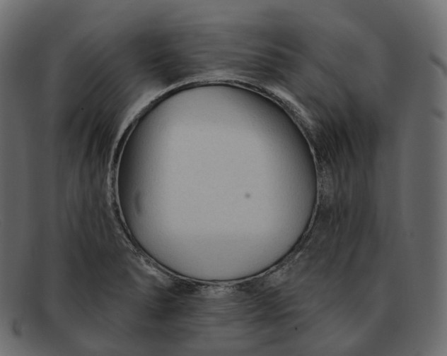 X0000091891278200709191210