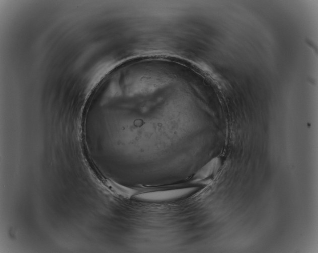 X0000091891279200709191210