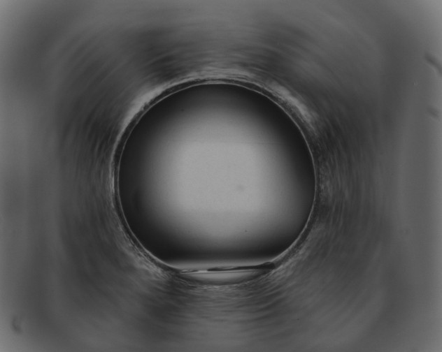 X0000091891280200709191210