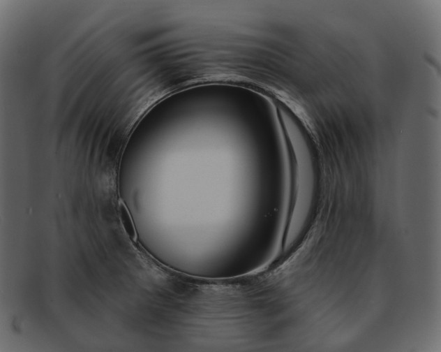 X0000091891281200709191210