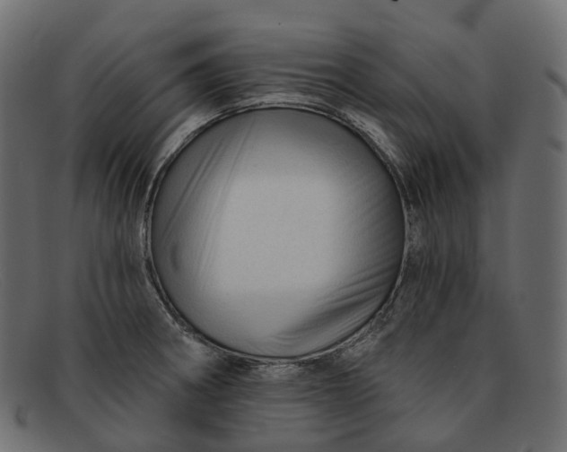 X0000091891282200709191210