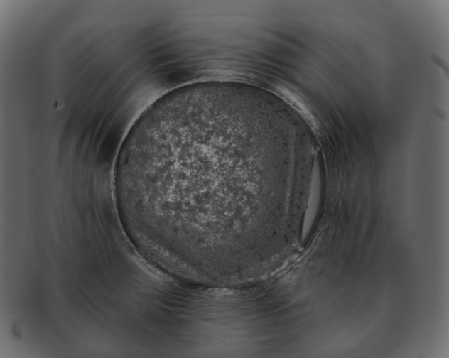 X0000091891283200709191210