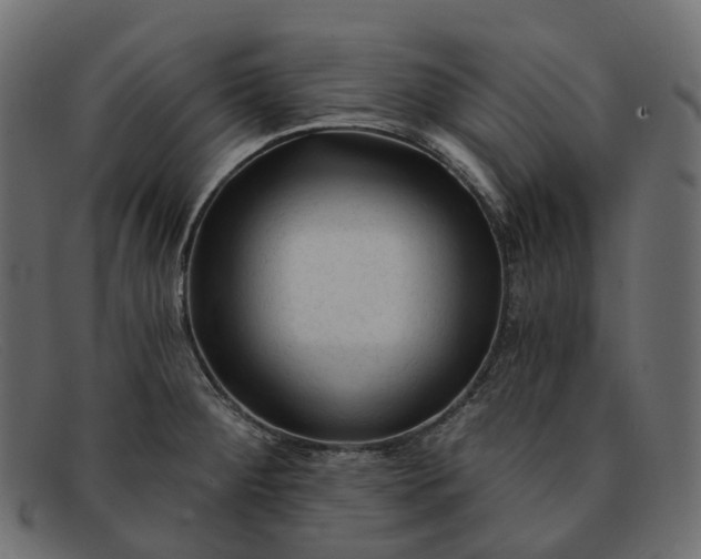 X0000091891284200709191210