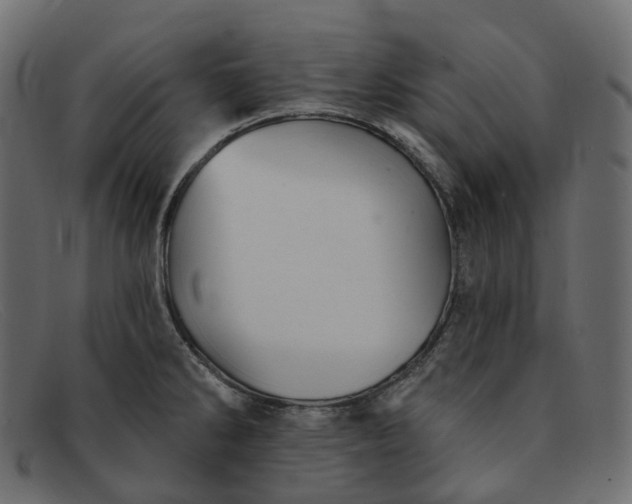 X0000091891286200709191210