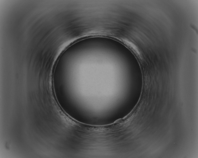 X0000091891288200709191210