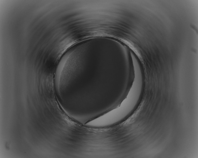 X0000091891289200709191210