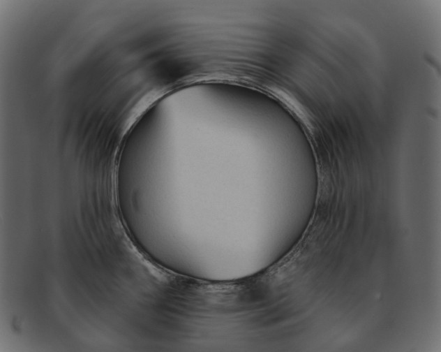 X0000091891290200709191210