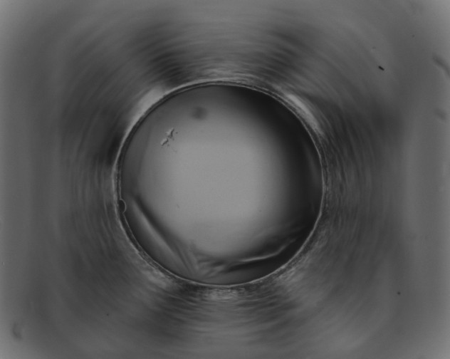 X0000091891291200709191210