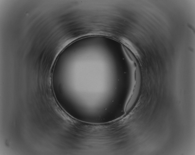 X0000091891292200709191210