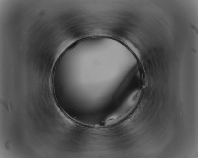 X0000091891293200709191210