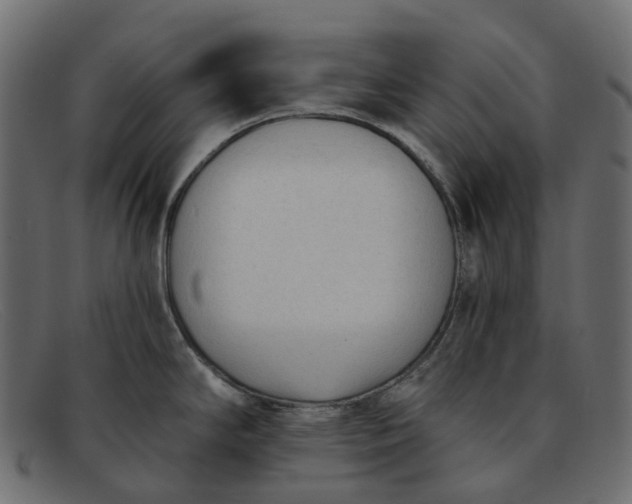 X0000091891294200709191210