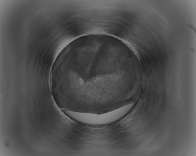 X0000091891295200709191210