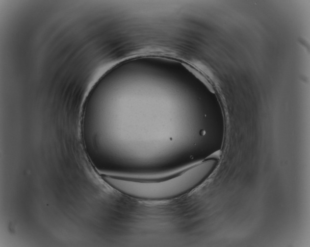 X0000091891296200709191210