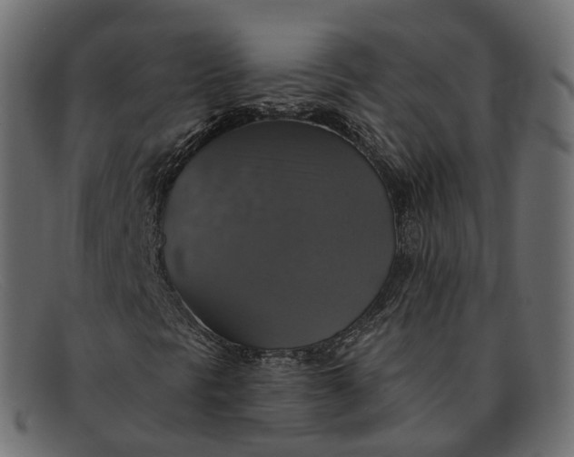 X0000091891297200709191209