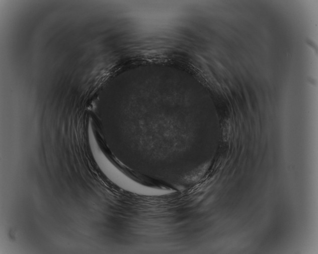 X0000091891298200709191209