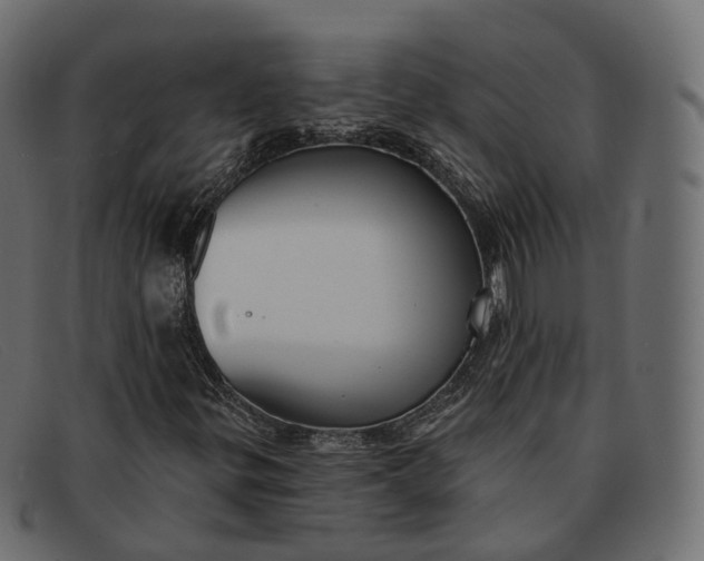 X0000091891299200709191209