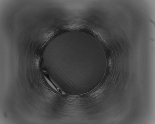 X0000091891300200709191209
