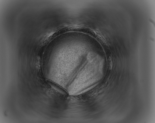 X0000091891301200709191209