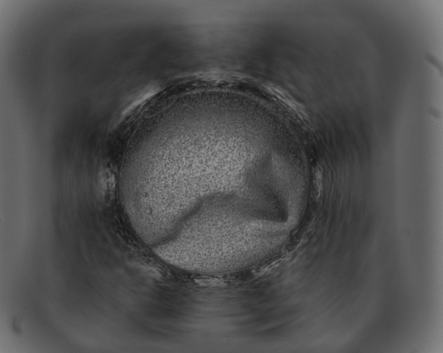 X0000091891302200709191209