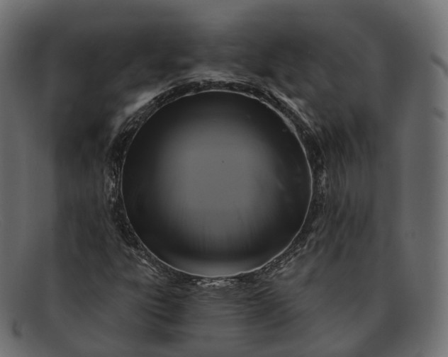 X0000091891303200709191209
