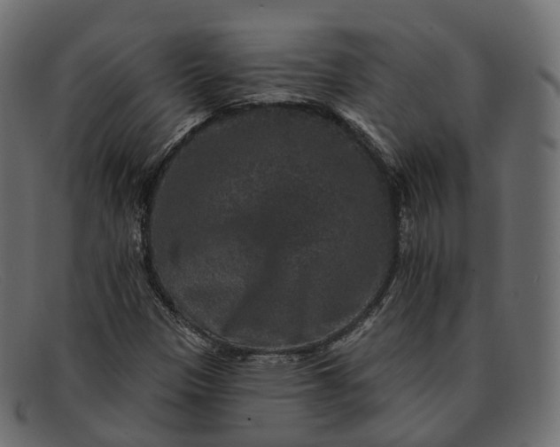 X0000091891305200709191209