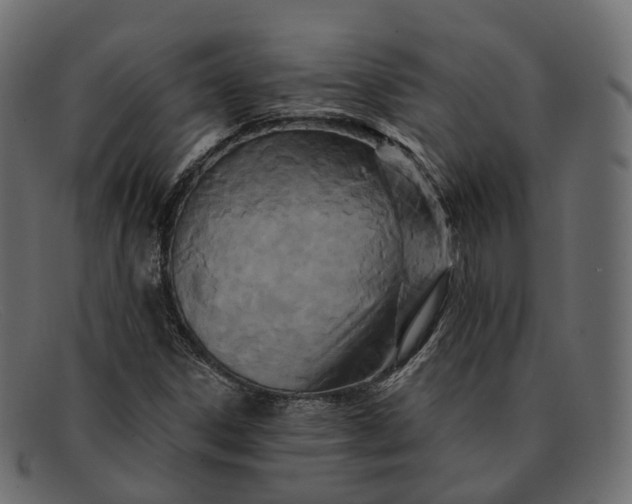 X0000091891306200709191209