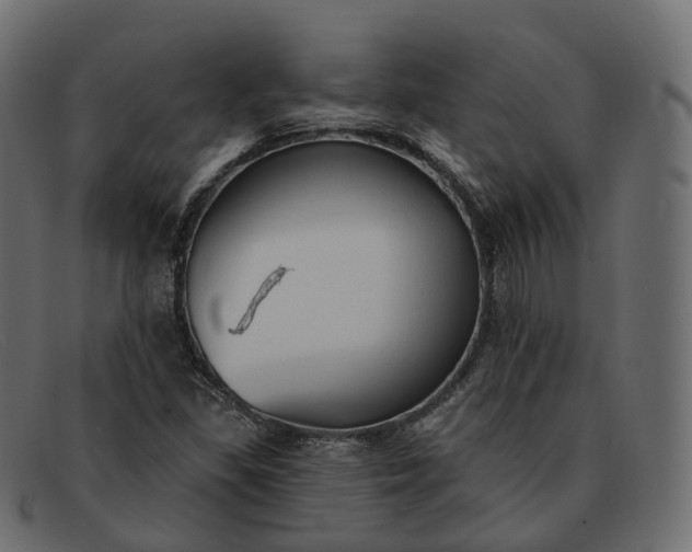 X0000091891309200709191209