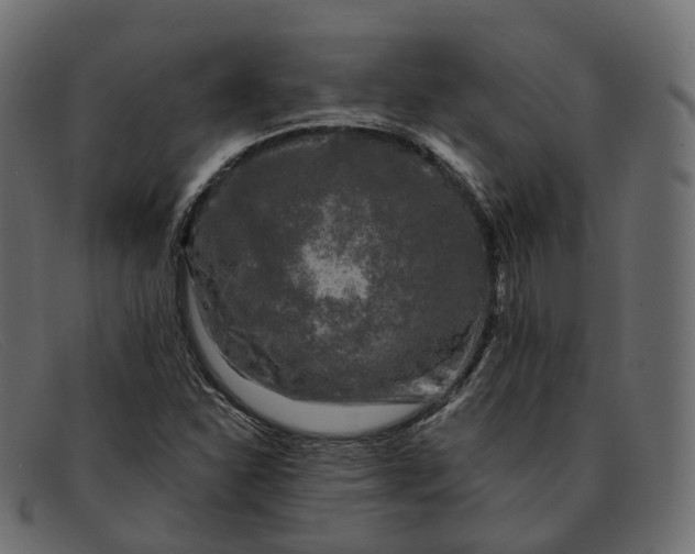 X0000091891310200709191209