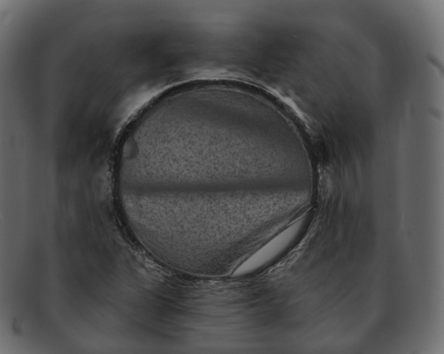 X0000091891311200709191209