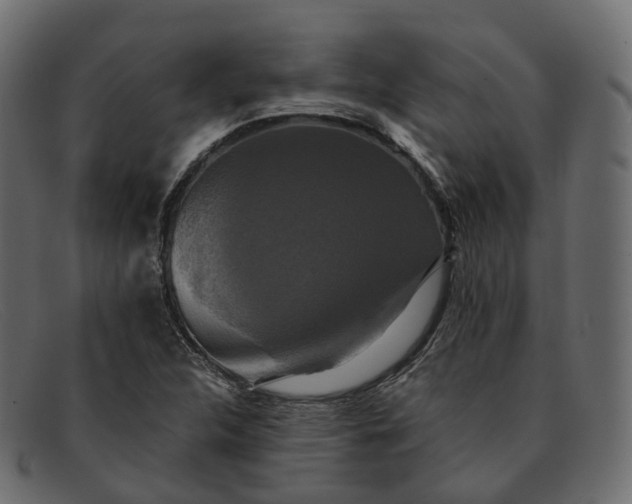 X0000091891312200709191209