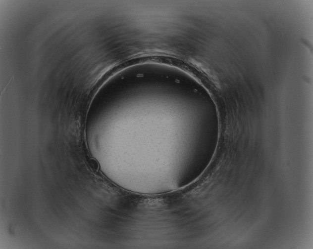 X0000091891313200709191209