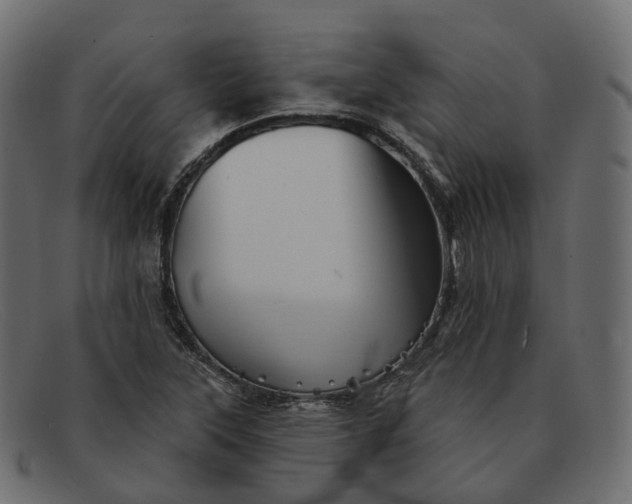 X0000091891315200709191209