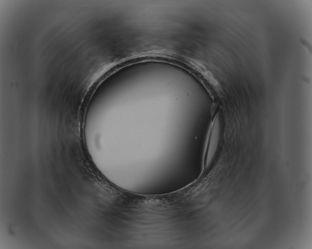X0000091891316200709191209