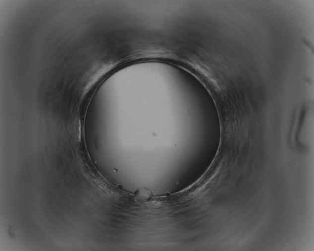 X0000091891317200709191209
