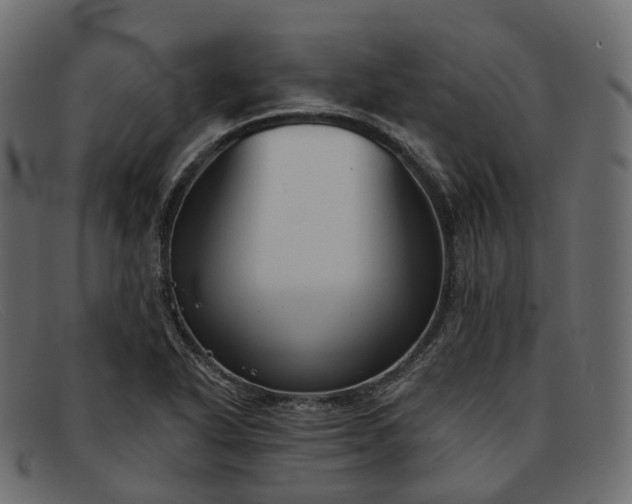 X0000091891318200709191209