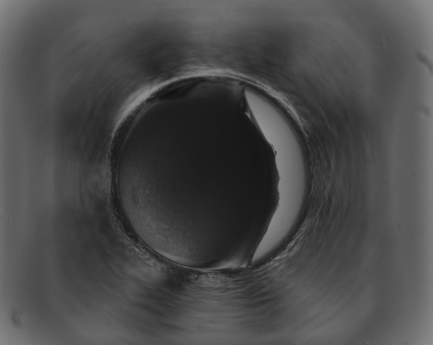 X0000091891319200709191209