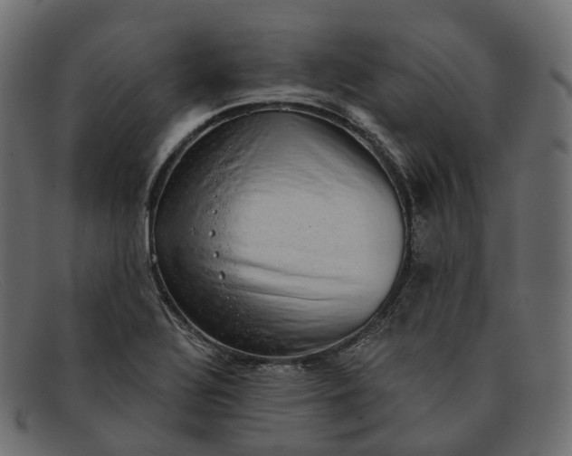 X0000091891320200709191209