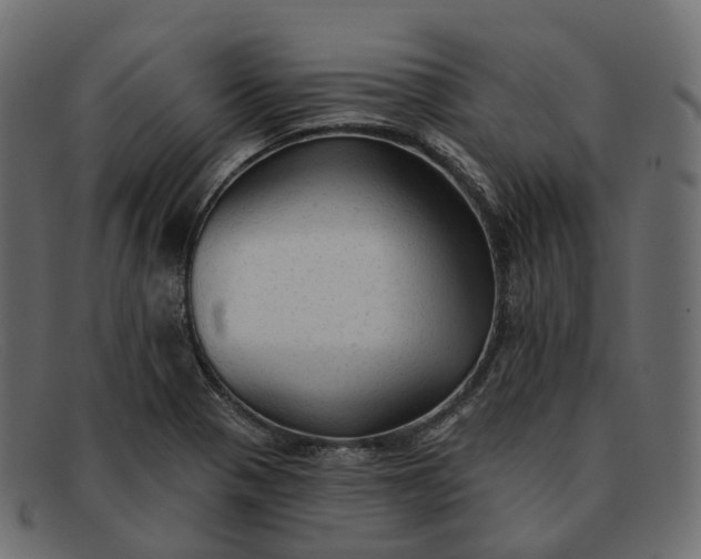 X0000091891321200709191209